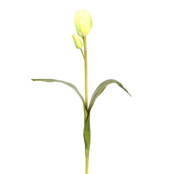 10-0437.04_0 TULIPAN 60CM - Imagen 1