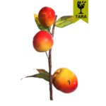 VARA FRUTA MELOCOTON BRILLO