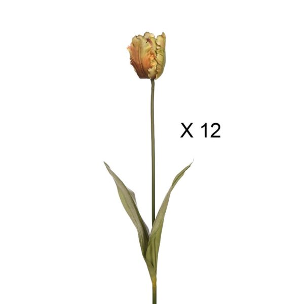 109730-500_0 CAJA 12 TULIPANES MAINE ALT. 75CM - Imagen 1