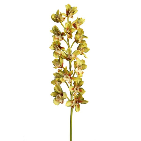 110407.10_0 ORQUIDEA CIMBIDIUM LATEX 110 CM - Imagen 1