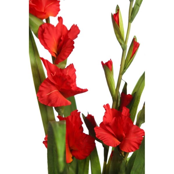 MAZO GLADIOLOS ARTIFICIALES ROJO 115CM - Imagen 2