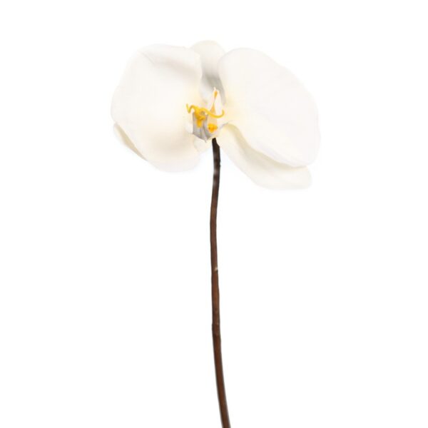 ORQUIDEA BLANCA 30CM - Imagen 1
