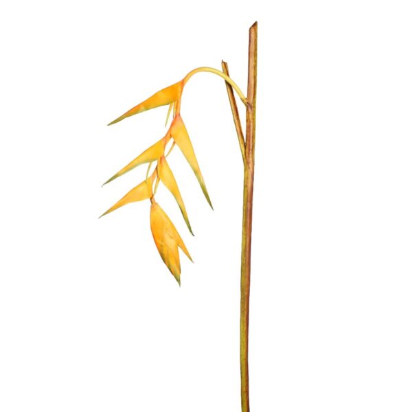 VARA HELICORNIA ARTIFICIAL 117CM - Imagen 1