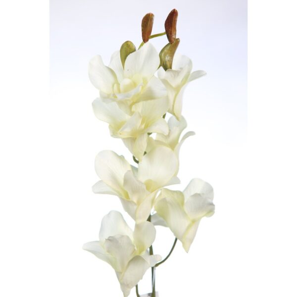 VARA DE ORQUIDEA 74CM - Imagen 2