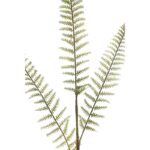 HOJA DE HELECHO ARTIFICIAL 75CM - Imagen 2