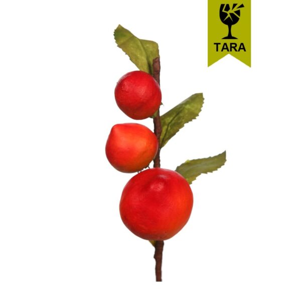 1579_0 VARA DE FRUTA MELOCOTON - Imagen 1