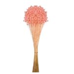 POMO HILL FLOWER - Imagen 2