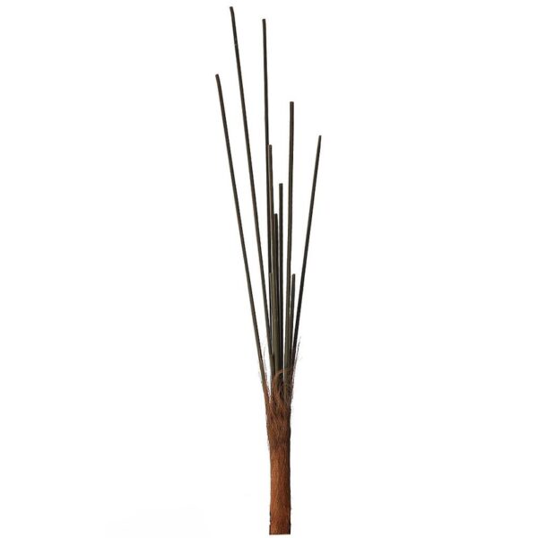 22226_0 TRONCO CHAMADOREA 15 TALLOS - Imagen 1