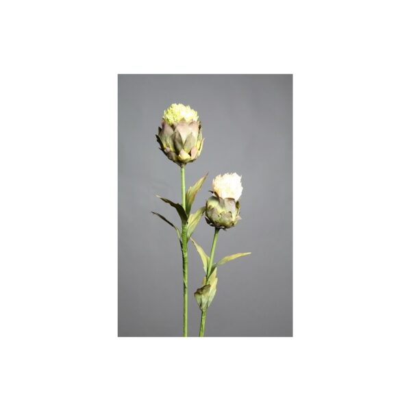 25262.10_0 VARA DE ALCACHOFA, 55 CM - Imagen 1