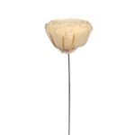 SOLA BELLY GIGANTE Ø 20CM - Imagen 3