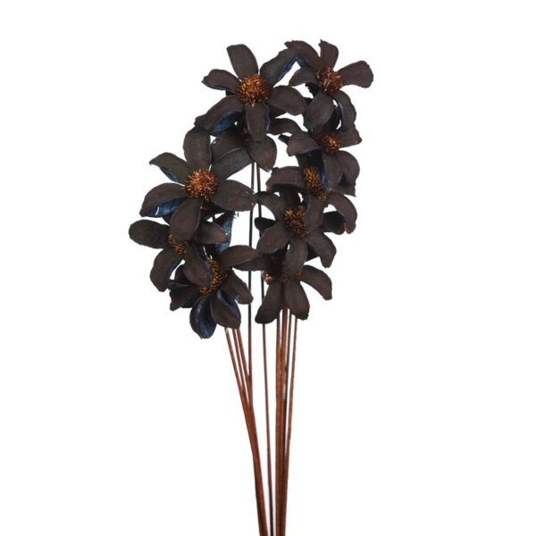 DHALIA X 10 - Imagen 1