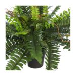 HELECHO CON BROTES EN MACETA Ø 70CM - Imagen 2