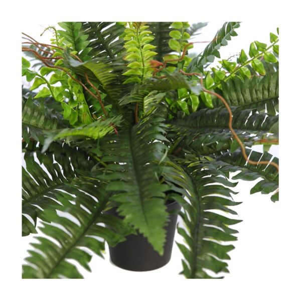 HELECHO CON BROTES EN MACETA Ø 70CM - Imagen 2