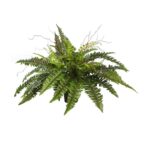 HELECHO CON BROTES EN MACETA Ø 84CM