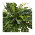 HELECHO CON BROTES EN MACETA Ø 84CM - Imagen 2