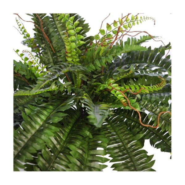 HELECHO CON BROTES EN MACETA Ø 84CM - Imagen 2