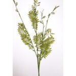 VARA CEDUM PTERIS X 4 - Imagen 2