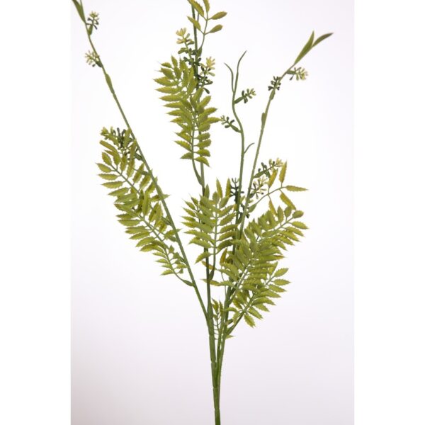 VARA CEDUM PTERIS X 4 - Imagen 2