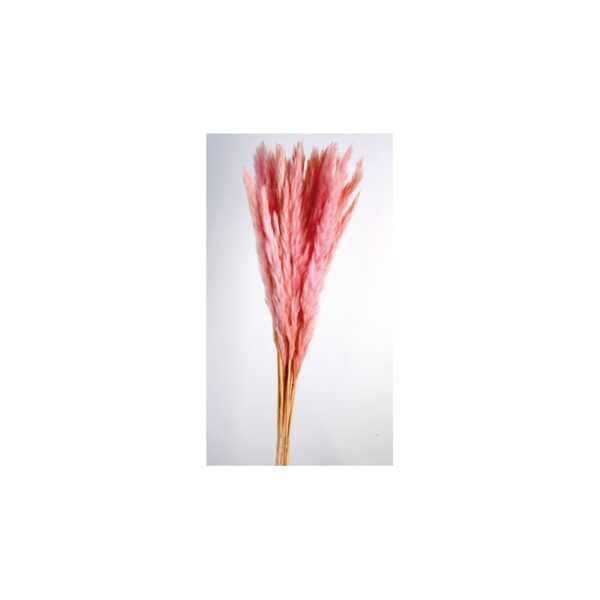 POMO PLUMA DECORATIVA 50/60CM - Imagen 2