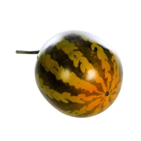 SANDIA FOAM 18CM - Imagen 1