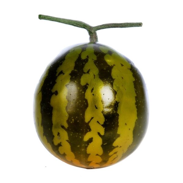 SANDIA FOAM 18CM - Imagen 2