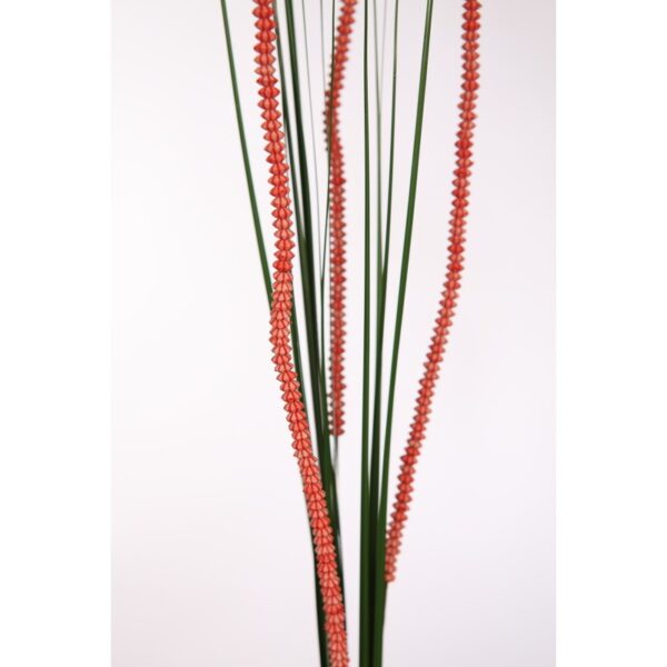 VARA GRASS X 18 - Imagen 4