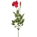 VARA PENSAMIENTO 65CM