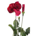 VARA PENSAMIENTO 65CM - Imagen 2