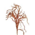 VARA BRILLO 60CM - Imagen 2