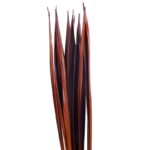 COCA BAHIA NARANJA 72CM - Imagen 2