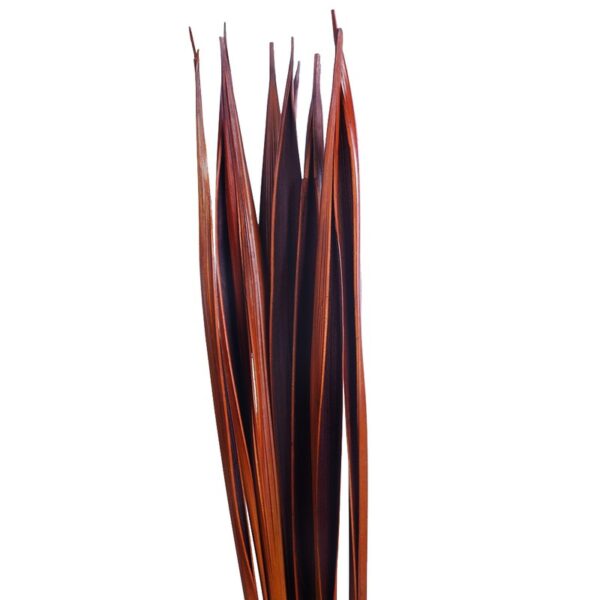 COCA BAHIA NARANJA 72CM - Imagen 2