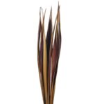 COCA BAHIA VERDE 72CM - Imagen 2