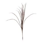 VARA BELL GRASS GLITTER 60CM - Imagen 2