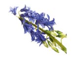 VARA JACINTO ARTIFICIAL 58CM - Imagen 8