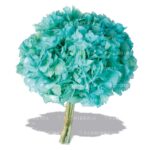 HORTENSIA PRESERVADA - Imagen 5