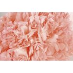 HORTENSIA PRESERVADA - Imagen 7