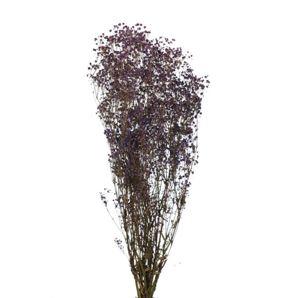 GYPSOPHILA PANICULATA PRESERVADA 100GR, ALT 60CM - Imagen 5