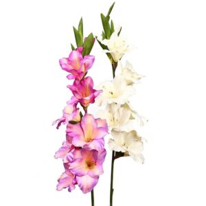 VARA GLADIOLO, 96 CM