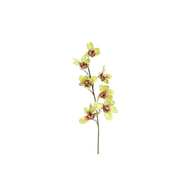VARA ORQUIDEA BRILLO 70CM - Imagen 1
