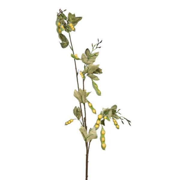 44564F_0 VARA GUISANTES - Imagen 1