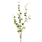 RAMA FICUS FILO PLATA 94CM