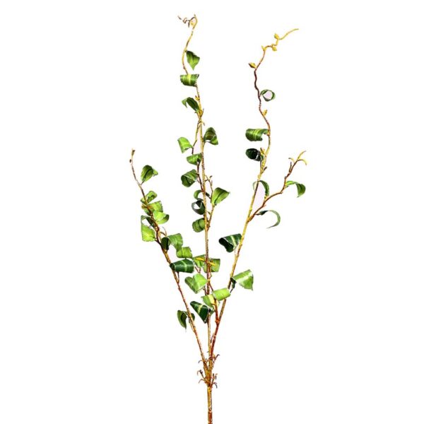 RAMA FICUS FILO PLATA 94CM - Imagen 1