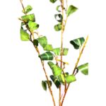 RAMA FICUS FILO PLATA 94CM - Imagen 2
