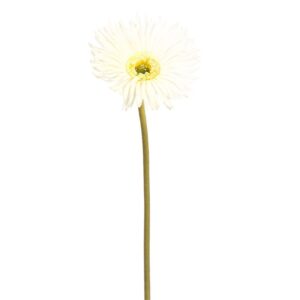 VARA GERBERA TACTO NATURAL 61 CM