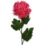 VARA MUN 70CM - Imagen 2