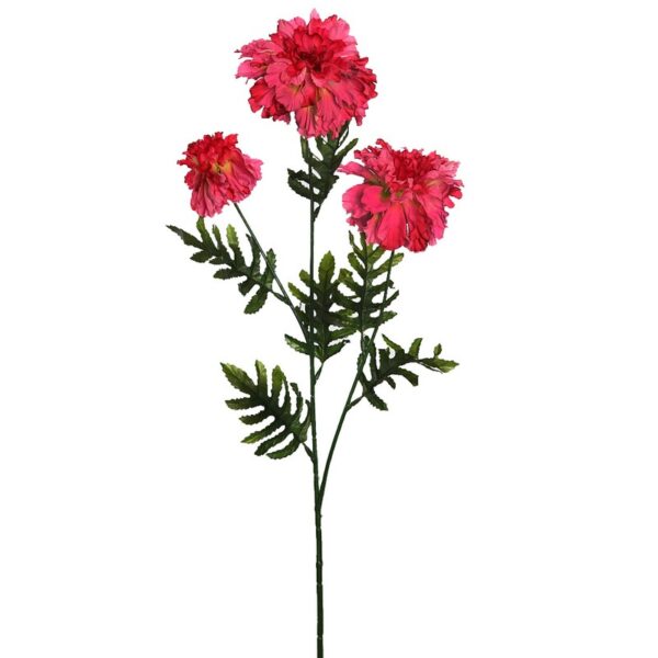 450915.07_0 VARA MARIGOLD 60CM - Imagen 1