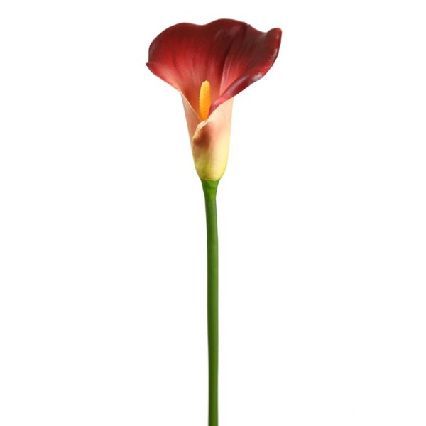 VARA CALA DE FOAM 68 CM - Imagen 3