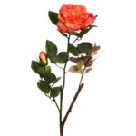 VARA ROSA WILD 65CM - Imagen 3