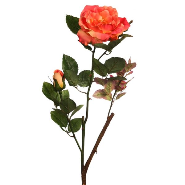 VARA ROSA WILD 65CM - Imagen 3