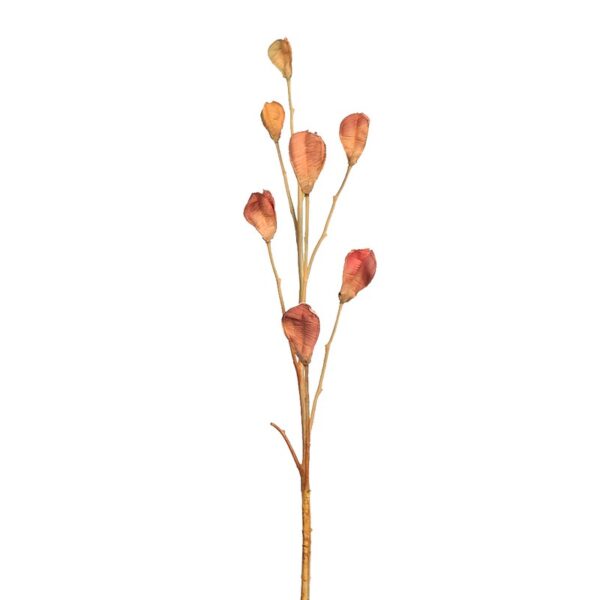 VARA CASABLANCA PODS 80CM - Imagen 1